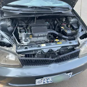 Toyota Platz 2001 Matt Black