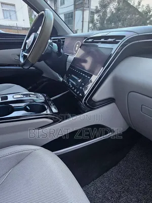 Hyundai Tucson 2023 Gray