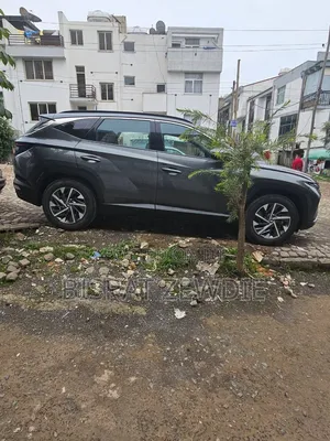 Hyundai Tucson 2023 Gray