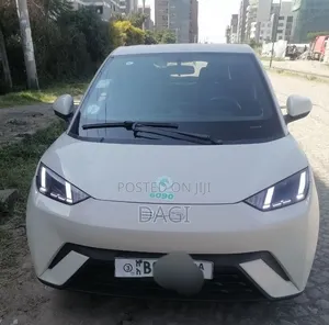 BYD Seagull 2024 White