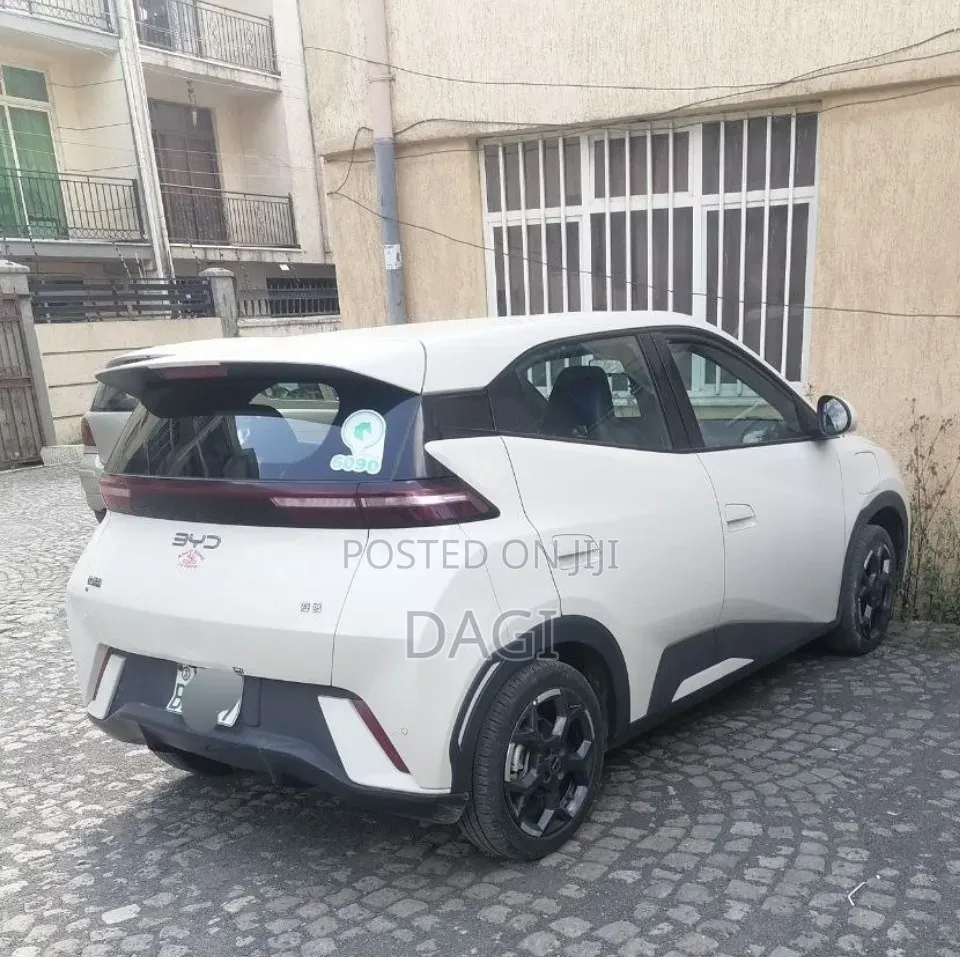 BYD Seagull 2024 White