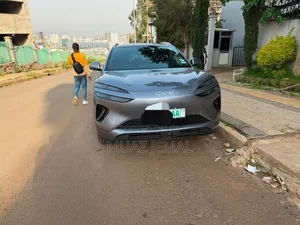 BYD Sealion 06 EV 2025 Gray