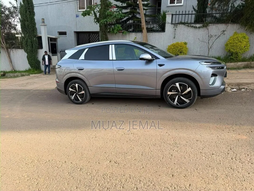 BYD Sealion 06 EV 2025 Gray