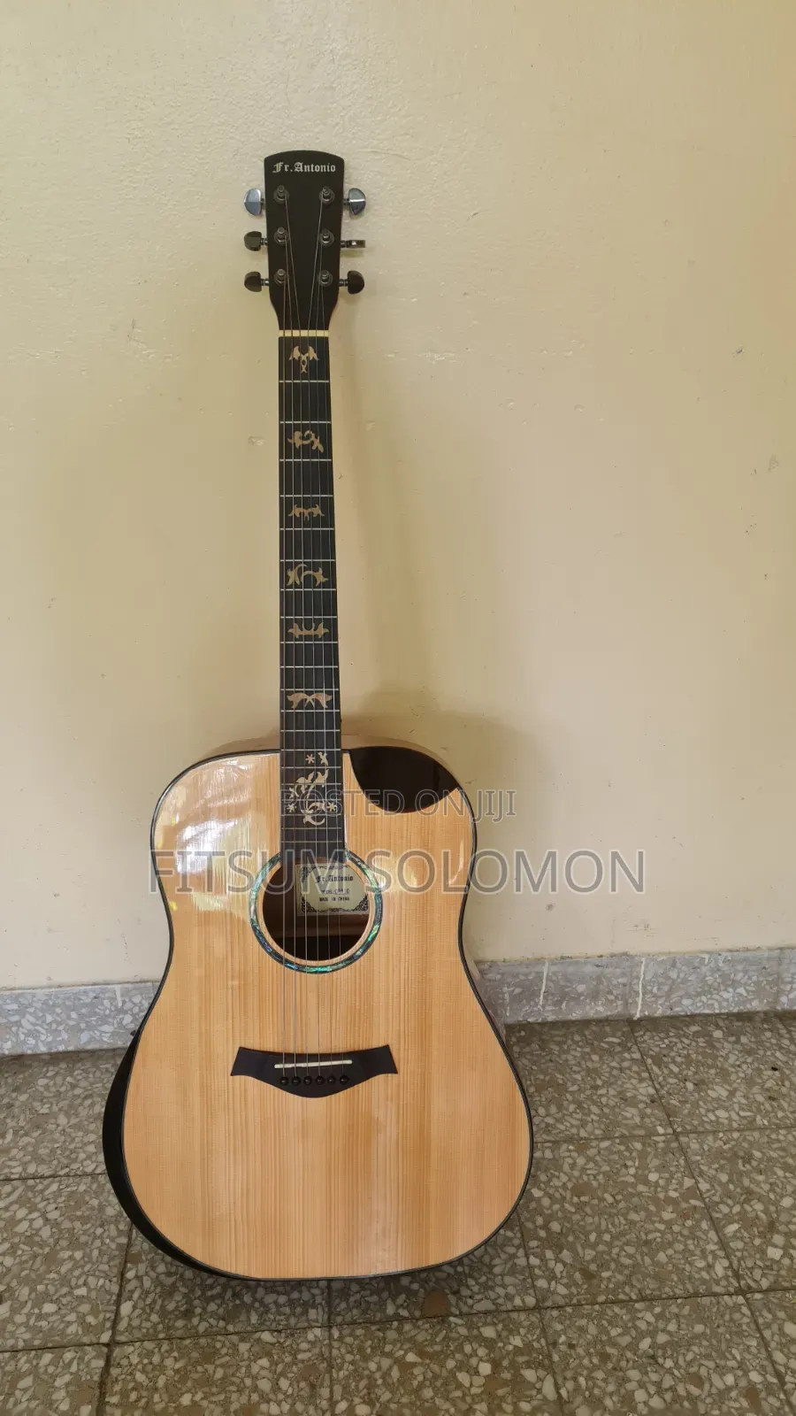 Semi- Acoustic FR Antonio Box Guitar
