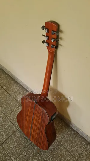 Semi- Acoustic FR Antonio Box Guitar