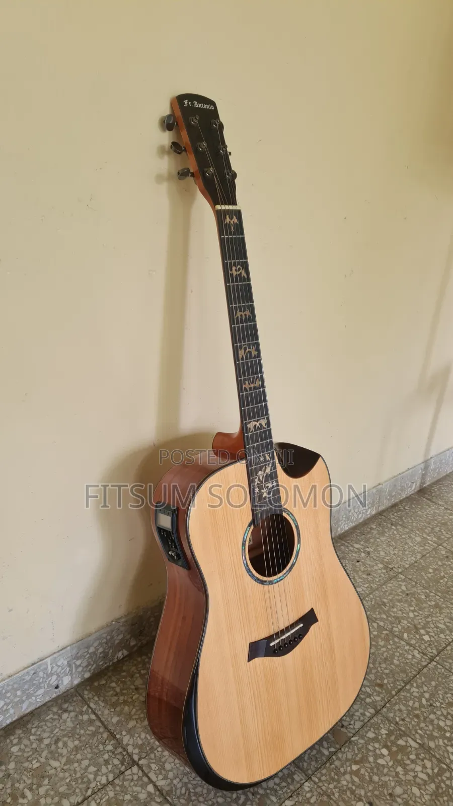 Semi- Acoustic FR Antonio Box Guitar