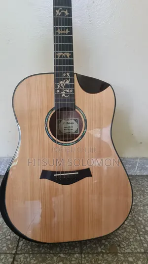 Semi- Acoustic FR Antonio Box Guitar