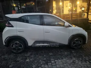 BYD Seagull 2024 White