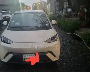 BYD Seagull 2024 White