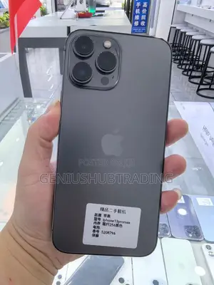 Apple iPhone 13 Pro Max 256 GB Gray