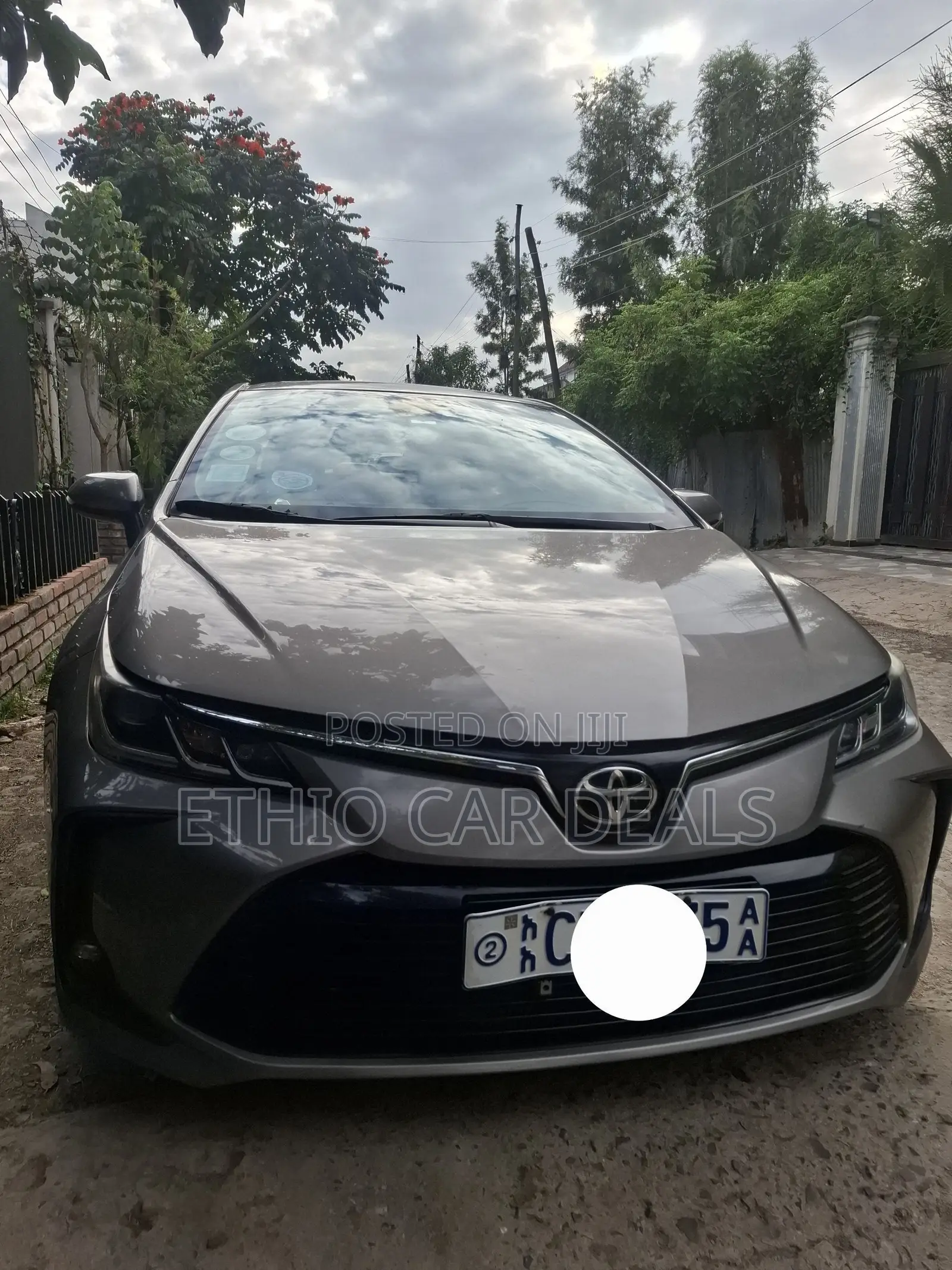 Toyota Corolla 2022 Gray