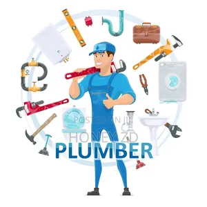 Professional Plumber
