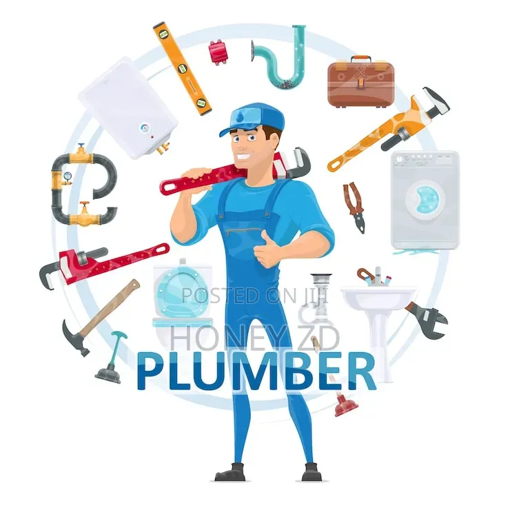 Professional Plumber