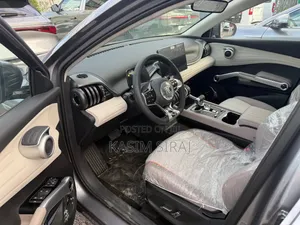 New BYD Yuan Plus 2025 Gray