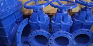 Flanged Gate Valve