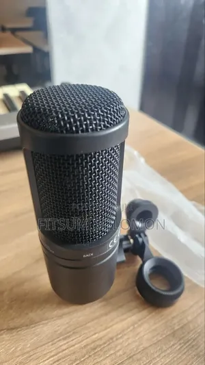Studio Mic Audio Technica