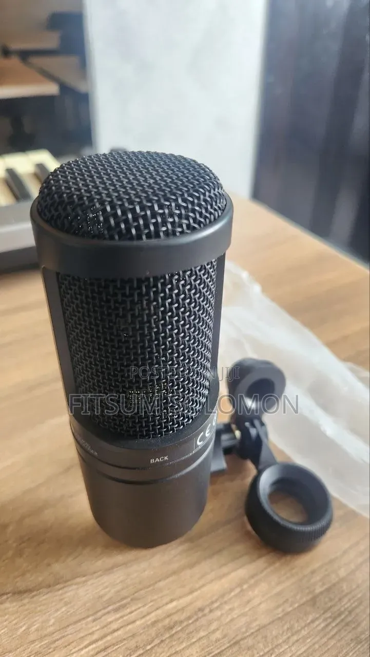 Studio Mic Audio Technica