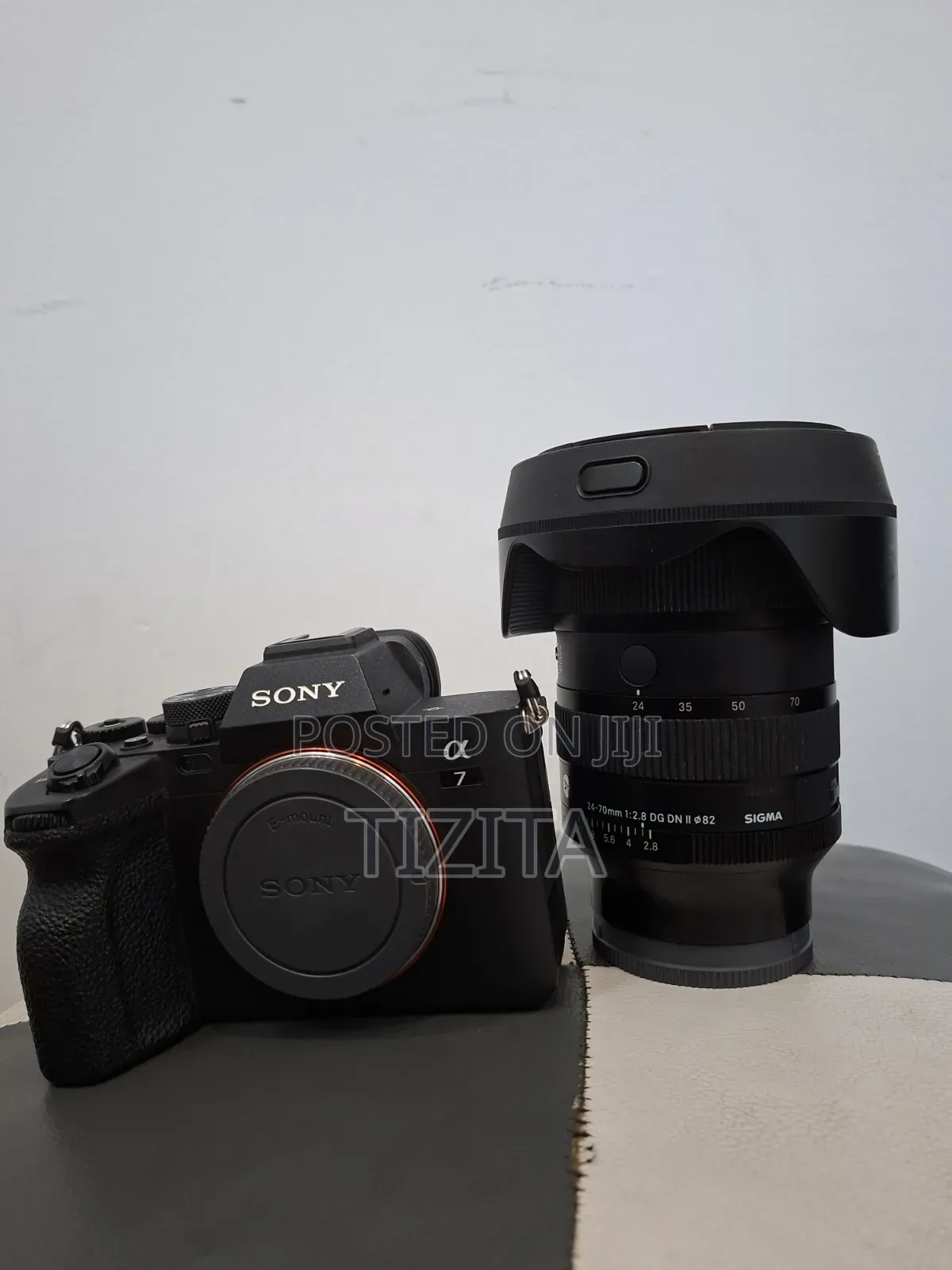Sony Alpha 7 Iv With Sigma Lense