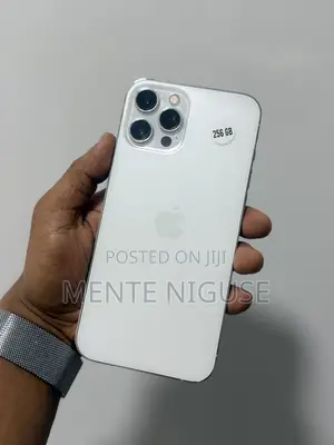 Apple iPhone 12 Pro Max 256 GB White