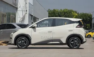 BYD Seagull 38 kWh FWD 2024 Ivory