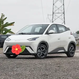 BYD Seagull 38 kWh FWD 2024 Ivory