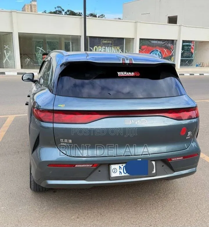 BYD Tang DM-i 2025 Green