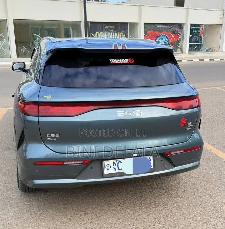 BYD Tang DM-i 2025 Green