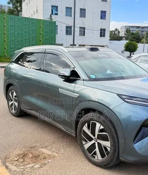 BYD Tang DM-i 2025 Green
