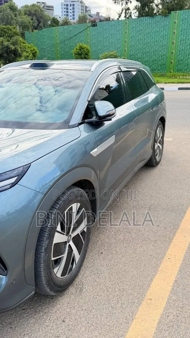 BYD Tang DM-i 2025 Green