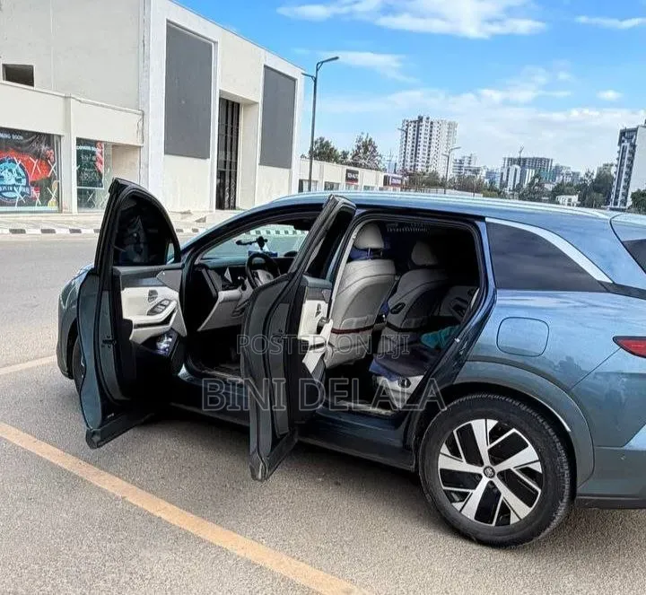 BYD Tang DM-i 2025 Green