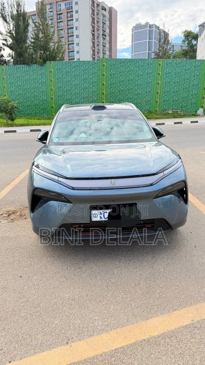 BYD Tang DM-i 2025 Green
