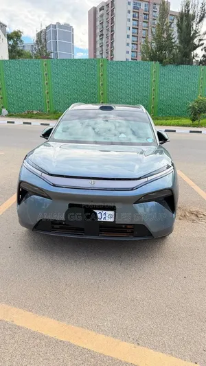 BYD Tang DM-i 2025 Green