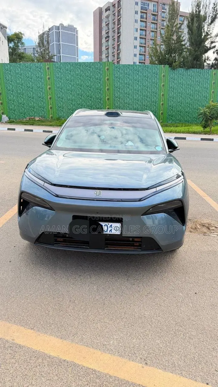 BYD Tang DM-i 2025 Green
