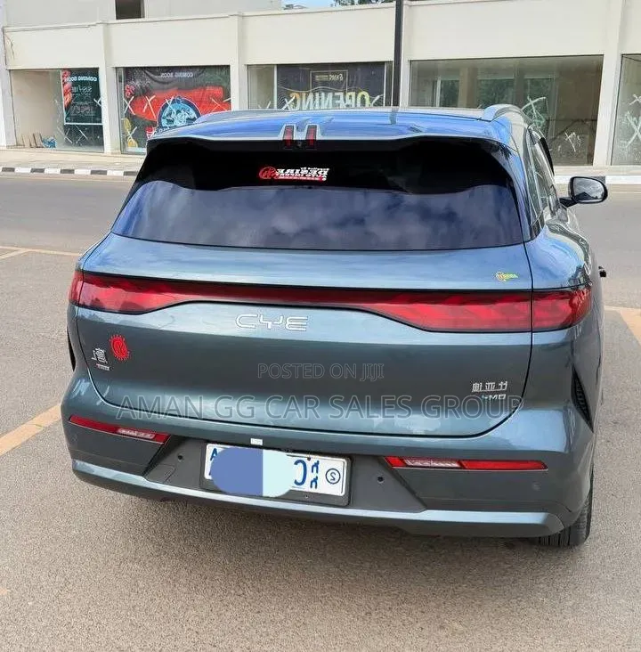 BYD Tang DM-i 2025 Green