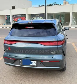BYD Tang DM-i 2025 Green