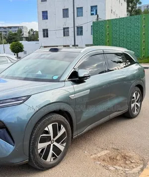 BYD Tang DM-i 2025 Green
