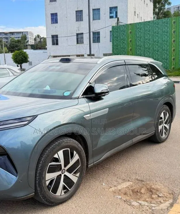 BYD Tang DM-i 2025 Green