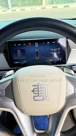 BYD Tang DM-i 2025 Green
