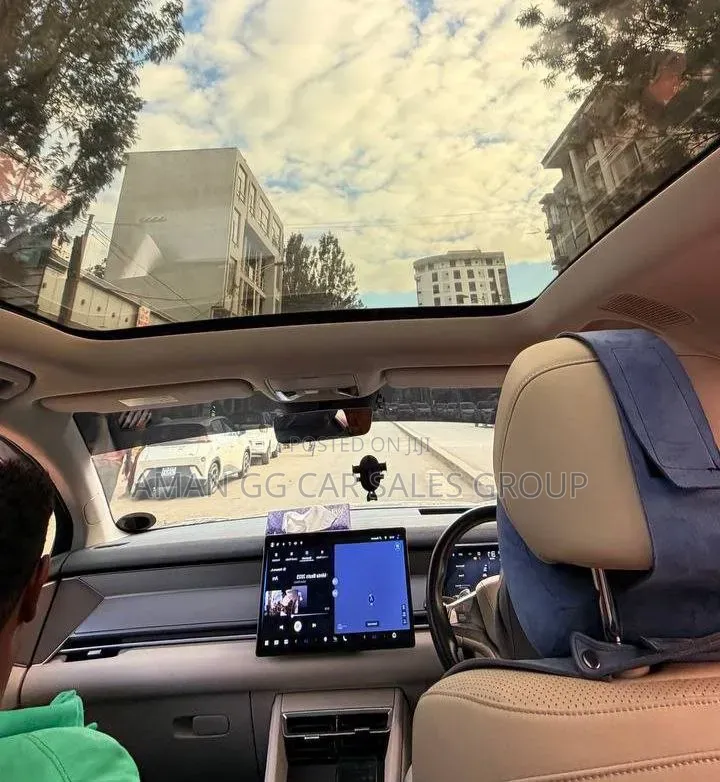 BYD Tang DM-i 2025 Green