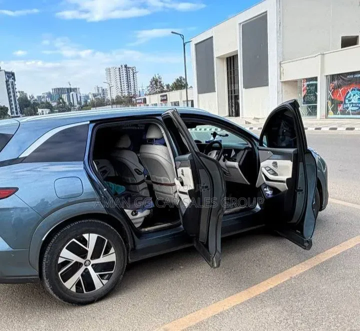 BYD Tang DM-i 2025 Green