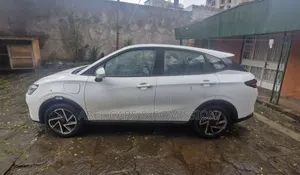 NETA Aya 2022 for Rent