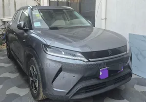 BYD Yhuanup 2025 for Rent