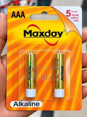 Maxday AAA 1.5V Alkaline Batteries Featuring a Five-Year Shelf Life.