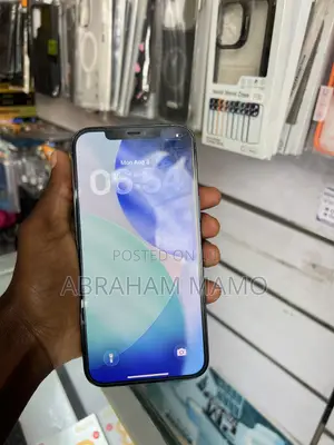 New Apple iPhone 12 Pro Max 256 GB Blue