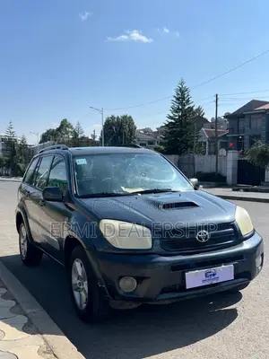 Toyota RAV4 2005 Gray