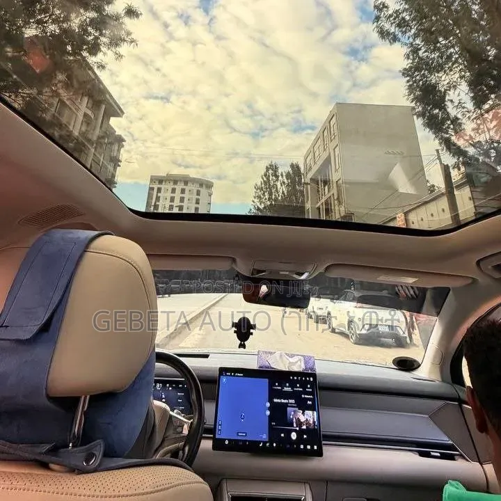 BYD Tang DM-i 2025