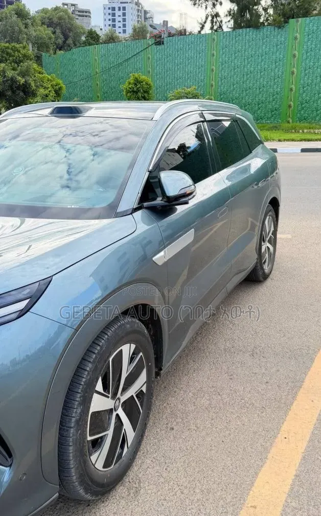 BYD Tang DM-i 2025