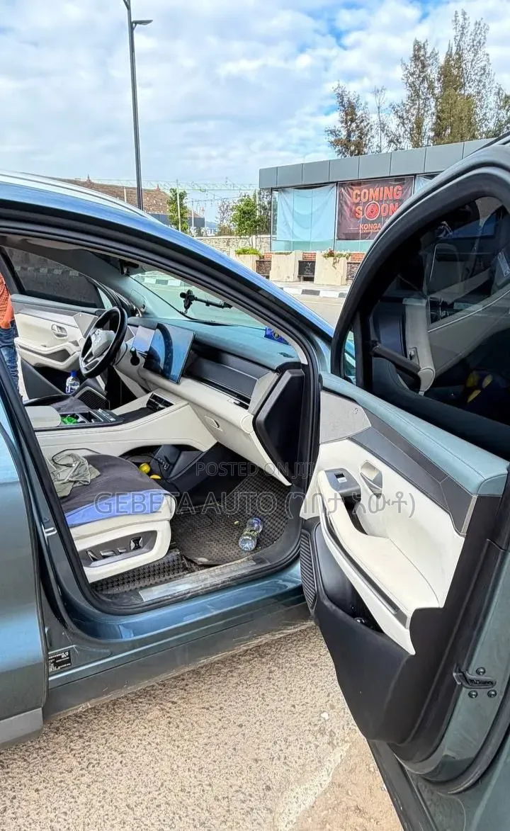 BYD Tang DM-i 2025