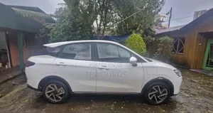 ለኪራይ የቀረበ መኪና 
 Neta Aya