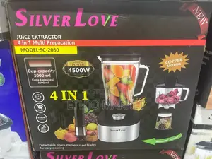 Silver Love 4-in-1 Juice Extractor and Blender